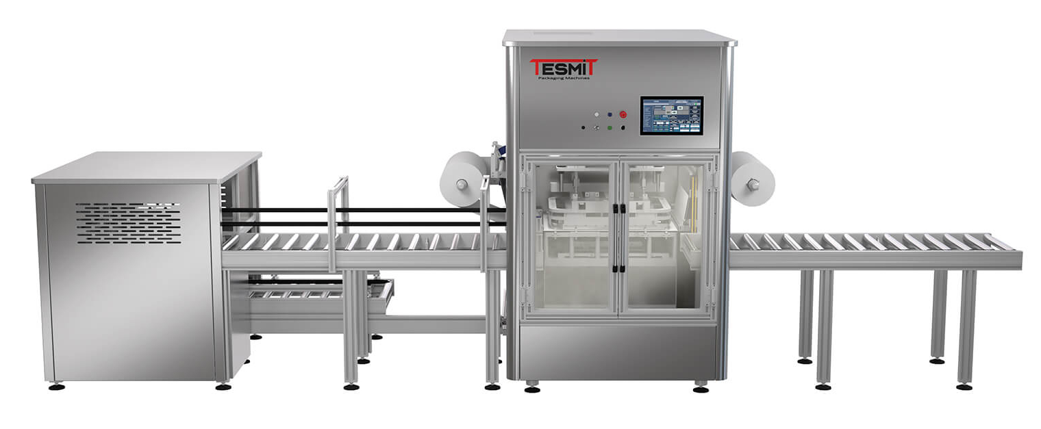 Tesmit termosigillatrice automatica fustellante per blister pre formati fch 91m foto05